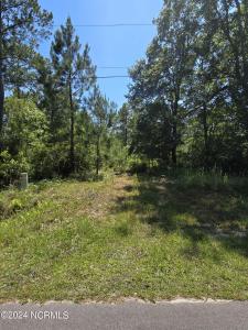 371 & 381 Elm Road, Boiling Spring Lakes, North Carolina 28461, USA