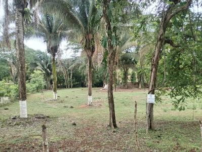 Quepos Quepos, Puntarenas 60601, Costa Rica