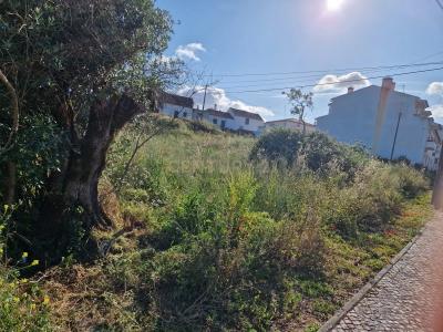 Santarem, Santarem 2025-012, Portugalia
