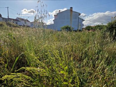 Santarem, Santarem 2025-012, Portugalia