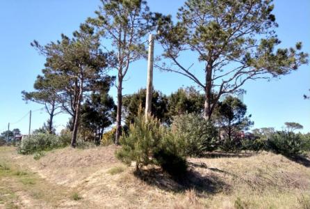 Punta Del Diablo, Rocha 00001, Uruguay