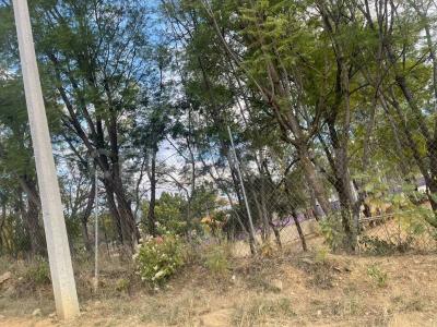San Felipe del Agua S/N,, Oaxaca De Juárez, Oaxaca 68020, Mexico