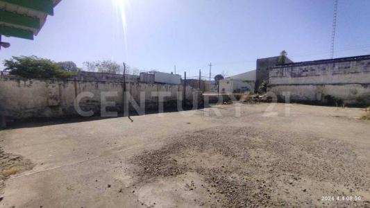 Culiacán, Sinaloa 80000, Mexico