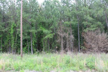 0 Mott Road, Plain Dealing, Louisiana 71064, USA
