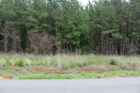 0 Mott Road, Plain Dealing, Louisiana 71064, USA