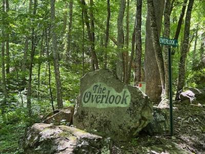 Lot 40 Overlook at YH, Young Harris, Georgia 30582, USA