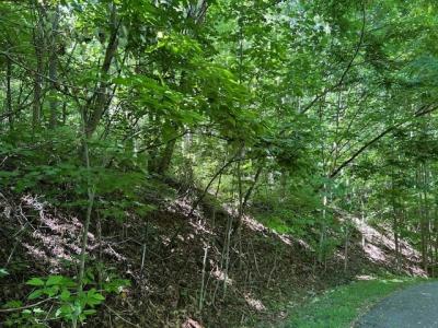 Lot 40 Overlook at YH, Young Harris, Georgia 30582, USA