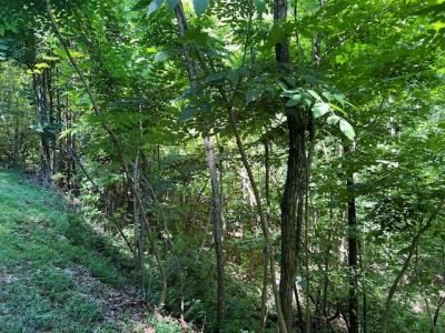 Lot 40 Overlook at YH, Young Harris, Georgia 30582, USA