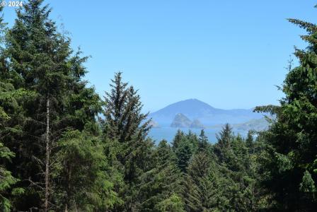 0 Horizon DR, Gold Beach, 오레곤 97444, 미국