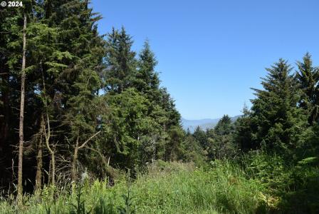 0 Horizon DR, Gold Beach, 오레곤 97444, 미국