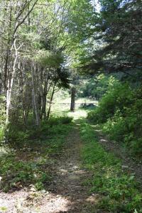 0 Horizon DR, Gold Beach, 오레곤 97444, 미국