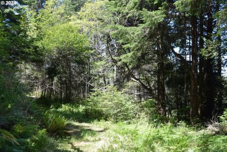 0 Horizon DR, Gold Beach, 오레곤 97444, 미국