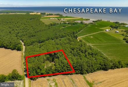 17328 Saint Jeromes Neck Road, Dameron, Maryland 20628, USA