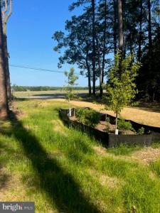 17328 Saint Jeromes Neck Road, Dameron, Мериланд 20628, Соединенные Штаты