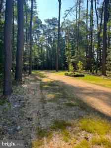 17328 Saint Jeromes Neck Road, Dameron, Мериланд 20628, Соединенные Штаты