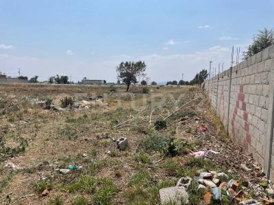 PROLONGACION MORELOS SN,, トラスカラ, トラスカラ 90110, メキシコ