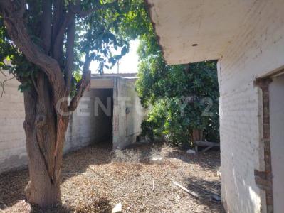 Gómez Palacio, Durango 35015, Mexico