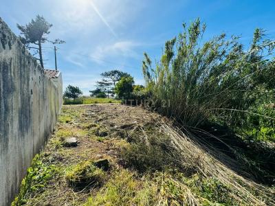 فيانا دو كاستيلو, فيانا دو كاستيلو 4935-560, البرتغال