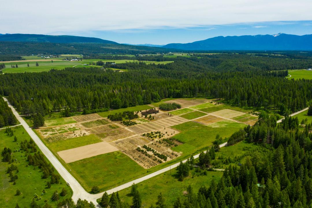 NNA Holmes Rd, Bonners Ferry, Idaho 83805, USA