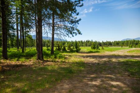 NNA Holmes Rd, Bonners Ferry, Idaho 83805, USA