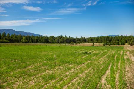 NNA Holmes Rd, Bonners Ferry, Idaho 83805, USA