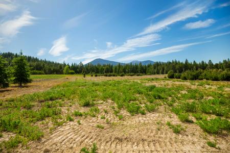 NNA Holmes Rd, Bonners Ferry, Idaho 83805, USA