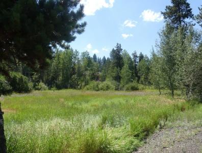 1002 Rowland Street 1-12, McCall, Idaho 83638, États-Unis