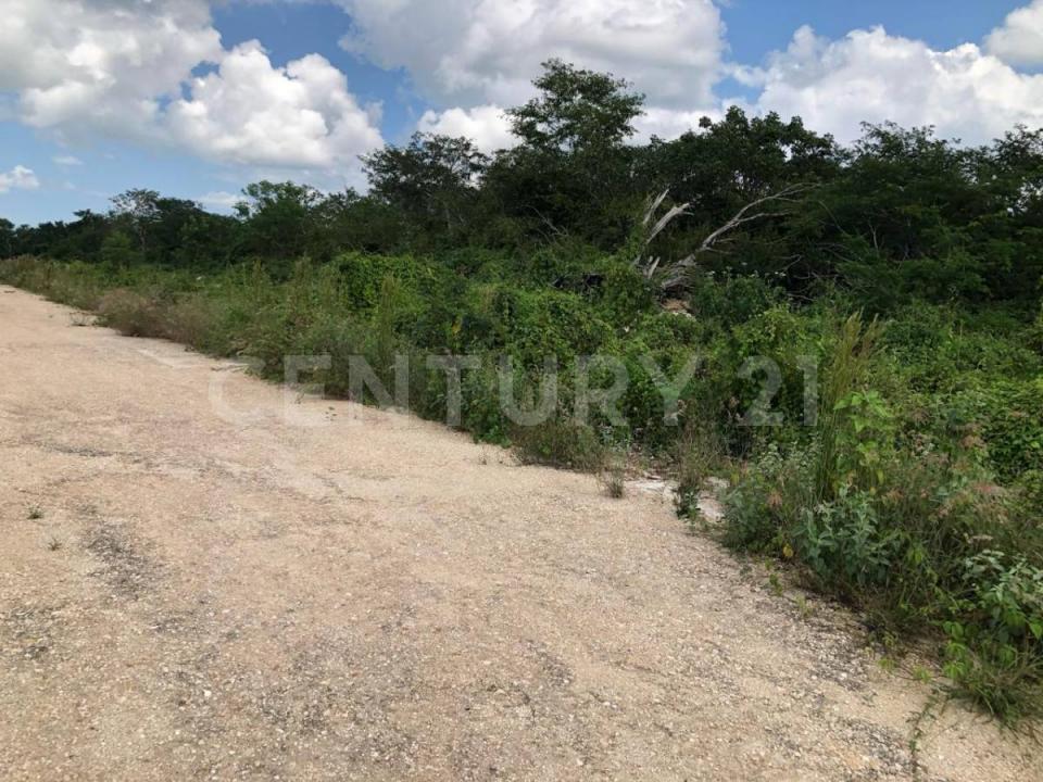 Baca, Yucatán 97450, México