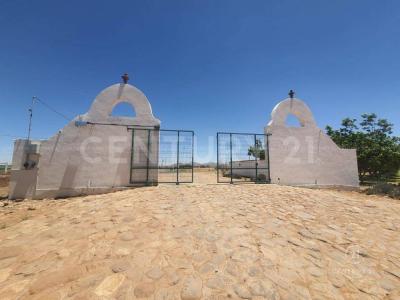 Chihuahua, Chihuahua 31627, Mexico