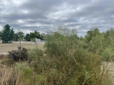 塞图巴尔, 塞图巴尔 2950-017, 葡萄牙