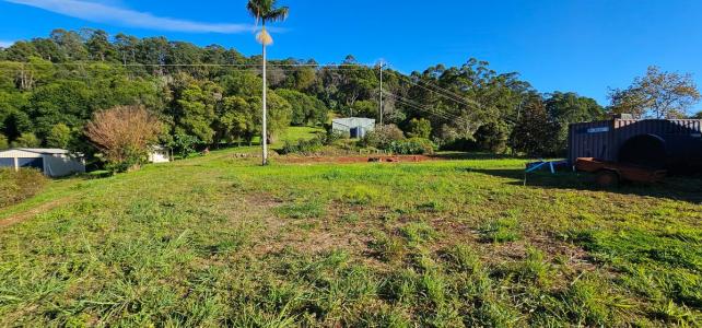 1005 Tuntable Creek Road, Tuntable Creek, NSW 2480, Australie