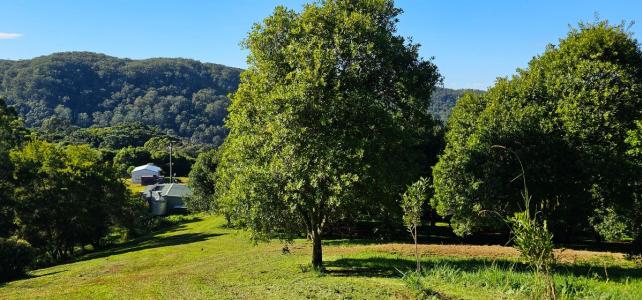 1005 Tuntable Creek Road, Tuntable Creek, NSW 2480, Australie