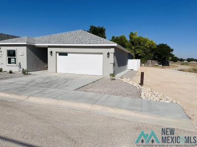 2922 Via Veneto Drive, Roswell, New Mexico 88201, USA