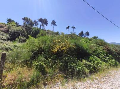 Baião, Porto 4640-467, Portogallo