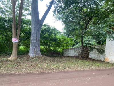 estados unidos y elizardo aquino , Mariano Roque Alonso, Trung Ương 00001, Paraguay