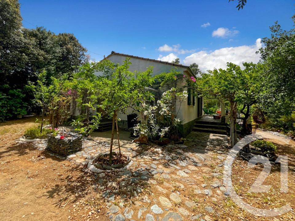 Oletta, Corse 20232, France