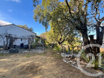Oletta, Corse 20232, France
