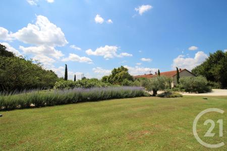 Cavaillon, Provence-Alpes-Côte d'Azur 84300, France