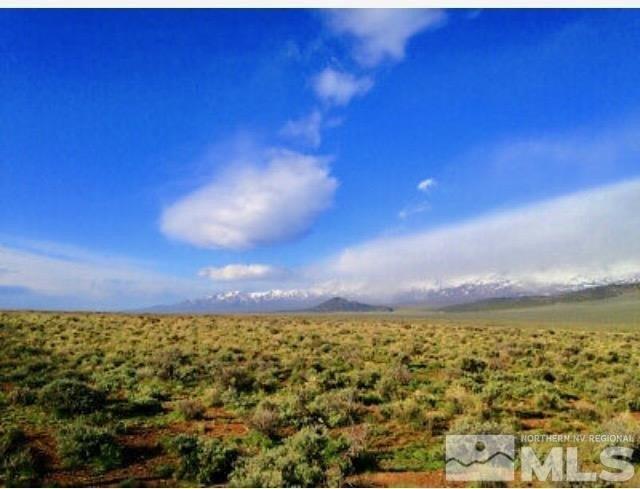 01001039 N Izzenhood Basin Road, Battle Mountain, 内华达州 89820, 美国