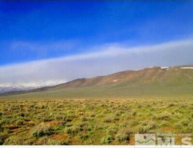 01001039 N Izzenhood Basin Road, Battle Mountain, 内华达州 89820, 美国