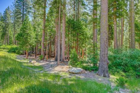 10 Timber Trail Court, Dorrington, California 95223, USA