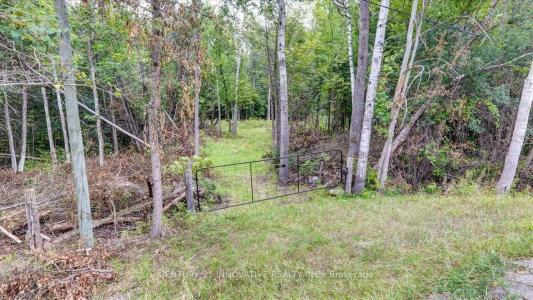 791 MOUNT HOREB ROAD, Kawartha Lakes, אונטריו K0L 2W0, קנדה 