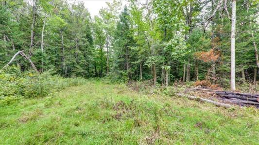 791 MOUNT HOREB ROAD, Kawartha Lakes, אונטריו K0L 2W0, קנדה 
