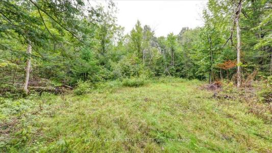 791 MOUNT HOREB ROAD, Kawartha Lakes, אונטריו K0L 2W0, קנדה 