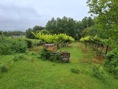 Valença, Viana Do Castelo 4930, Portogallo