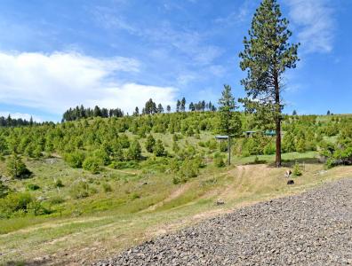 109 Fireman Canyon Road, Pomeroy, Washington 99347, USA