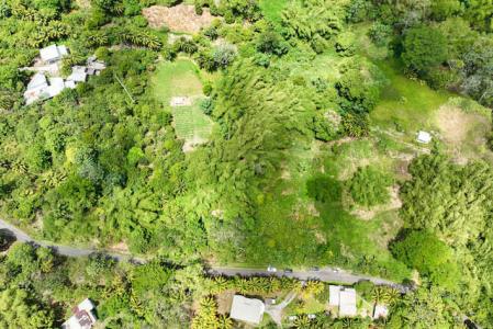 Brothers Estate, St.John West Indies, Granada