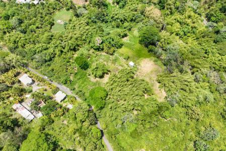 Brothers Estate, St.John West Indies, Granada