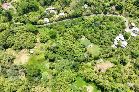 Brothers Estate, St.John West Indies, Granada
