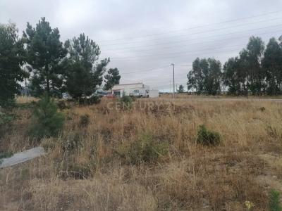 Palmela, セトゥーバル 2950-680, ポルトガル